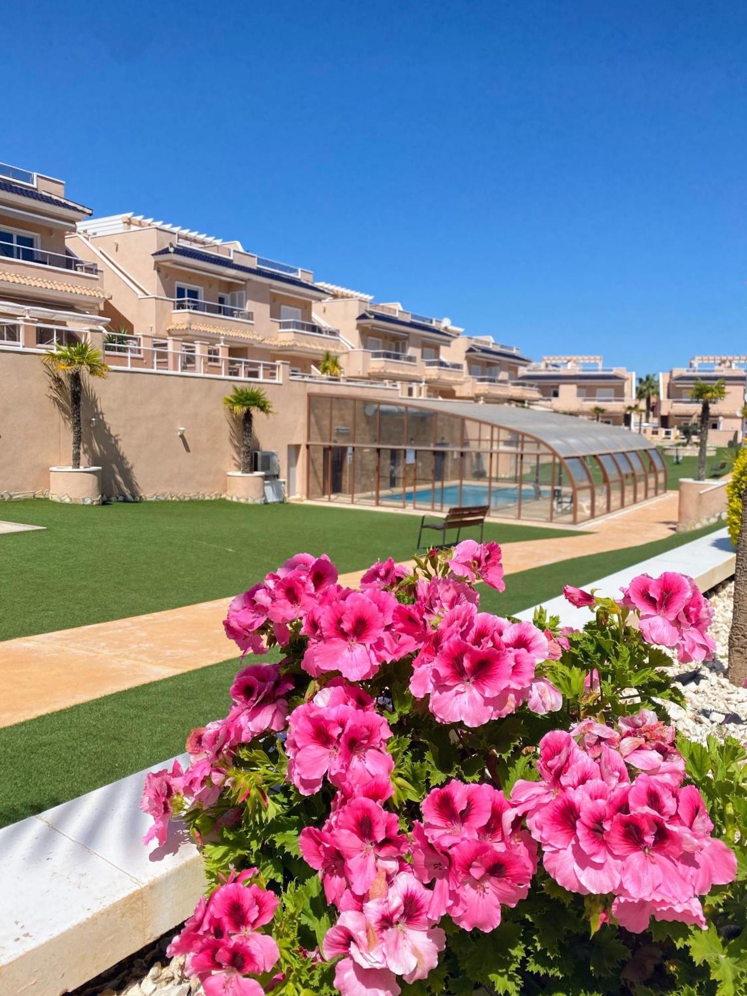 Apartments Punta Prima Indoor & Outdoor Pool Torrevieja Eksteriør billede